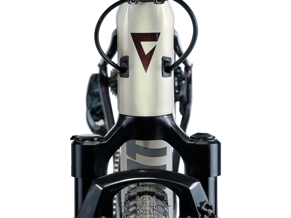 Giant Revolt X Advanced Pro 1