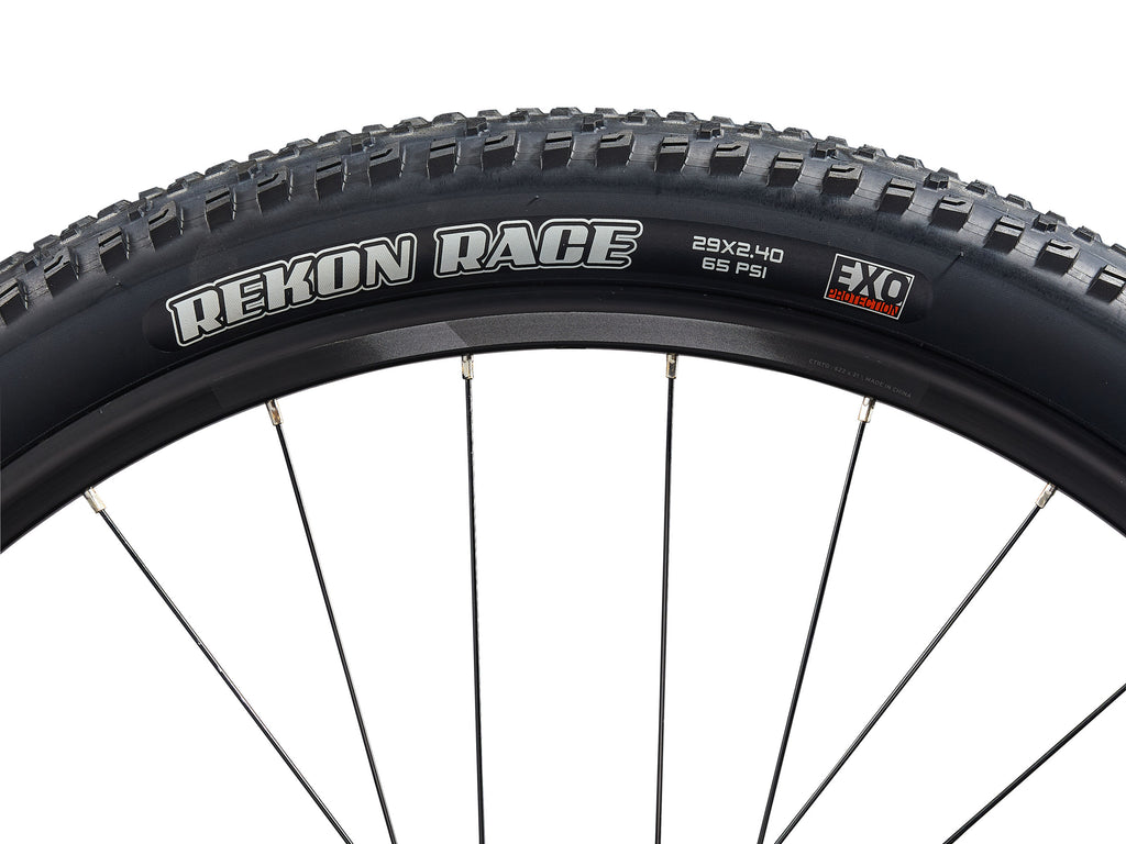 Giant Talon 1 2025