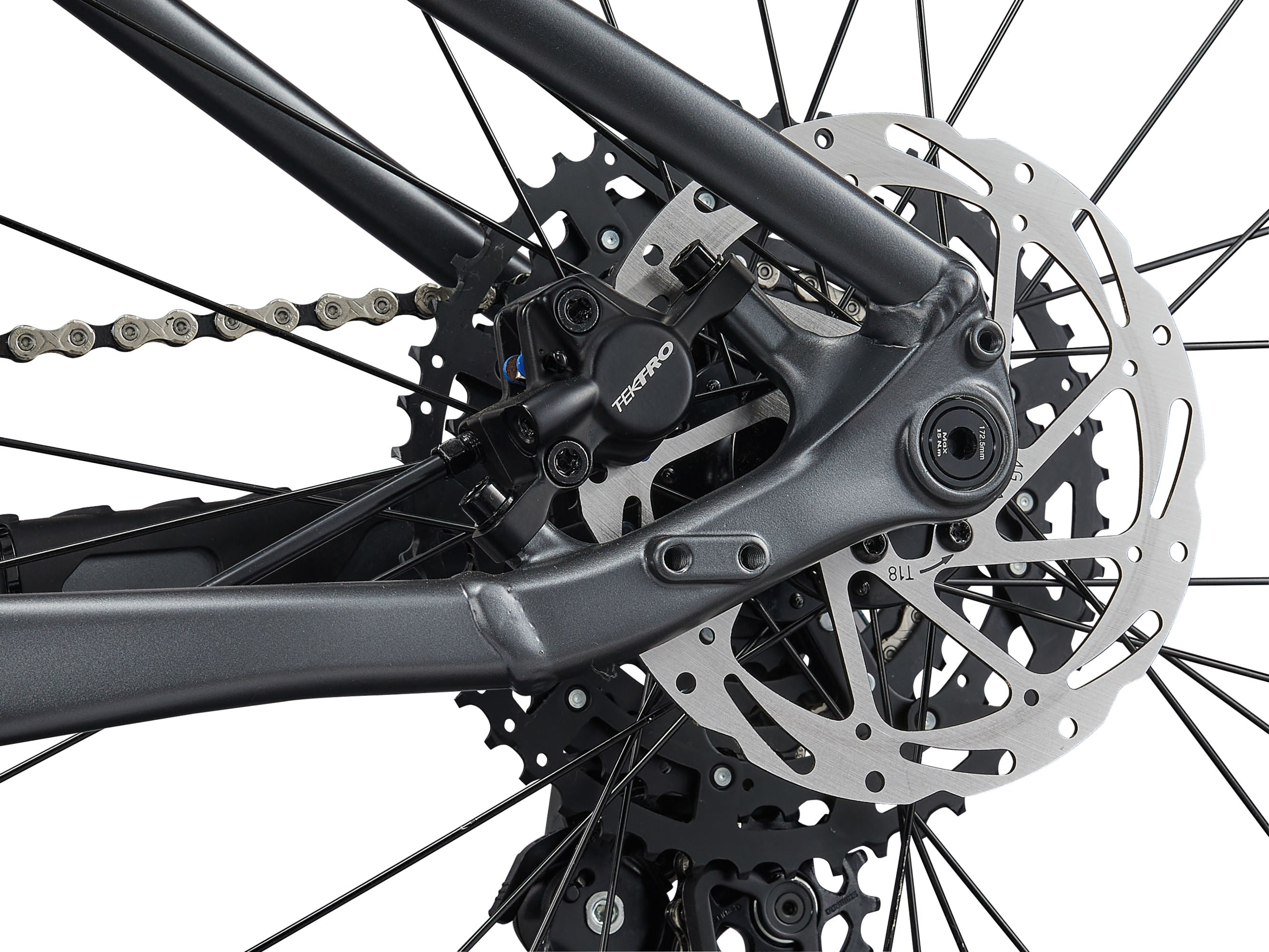 Giant Talon 1 2025
