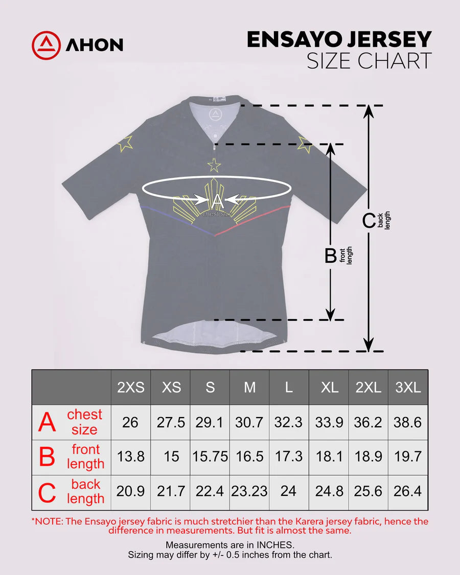 Bangon Training Jersey (blue)